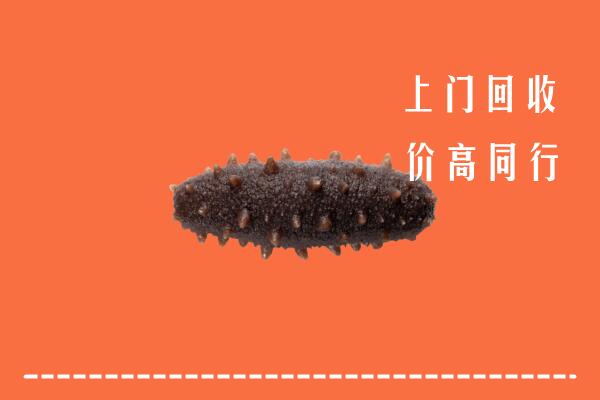 高价求购：封开县回收海参